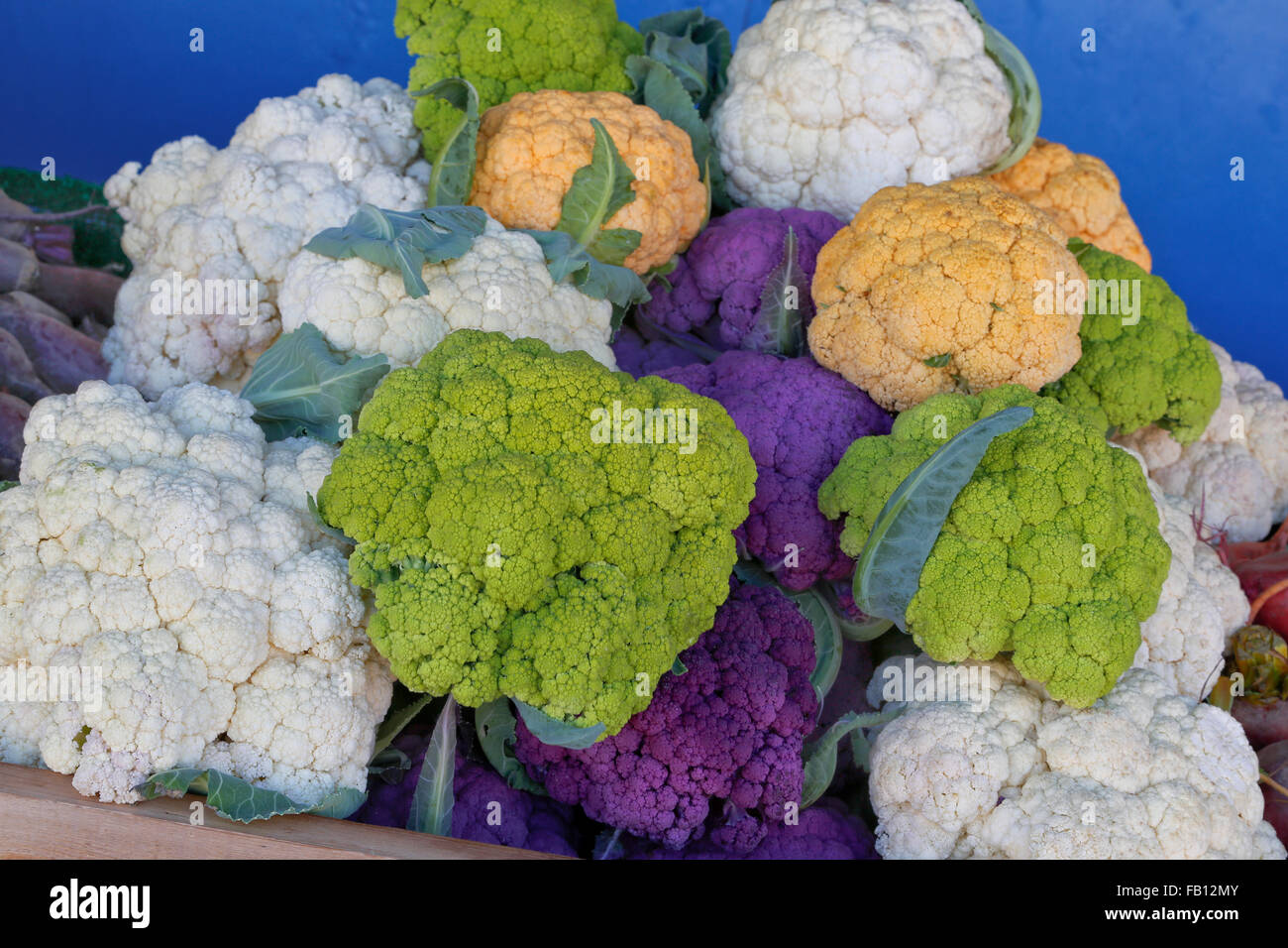 Colorful cauliflower, Farmer's Market. Stock Photo