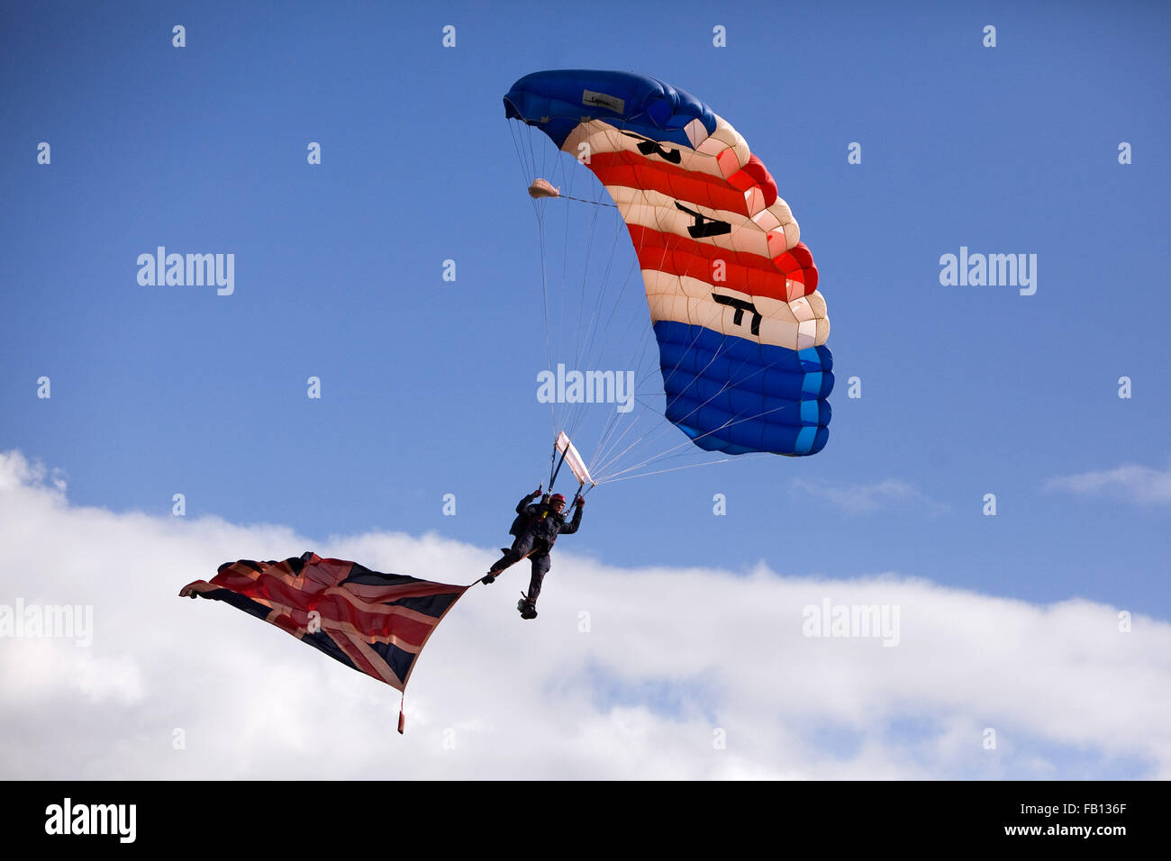 RAF Falcolns parachute display team land at Chester Races during a race meet . 29/9/12 . It was the Falcolns last display jump o Stock Photo