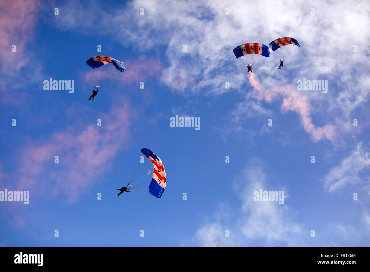 RAF Falcolns parachute display team land at Chester Races during a race meet . 29/9/12 . It was the Falcolns last display jump o Stock Photo