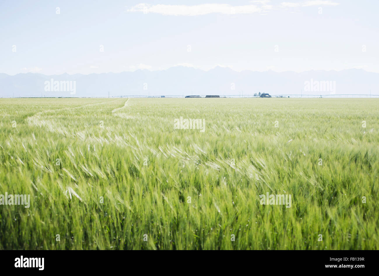 Scenic rural landscape Stock Photo