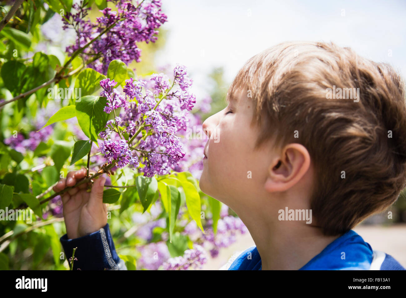 Portrait of boy (6-7) smelling flowers Stock Photo