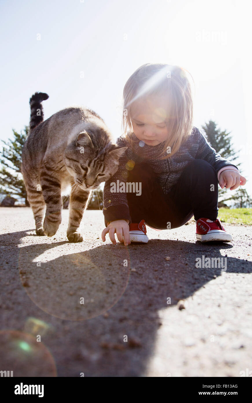Crouching girl (2-3) and cat Stock Photo