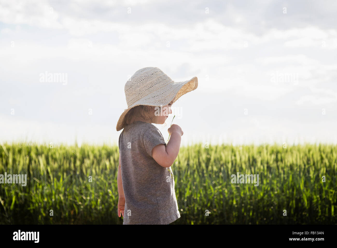 Portrait of girl in straw hat Stock Photo