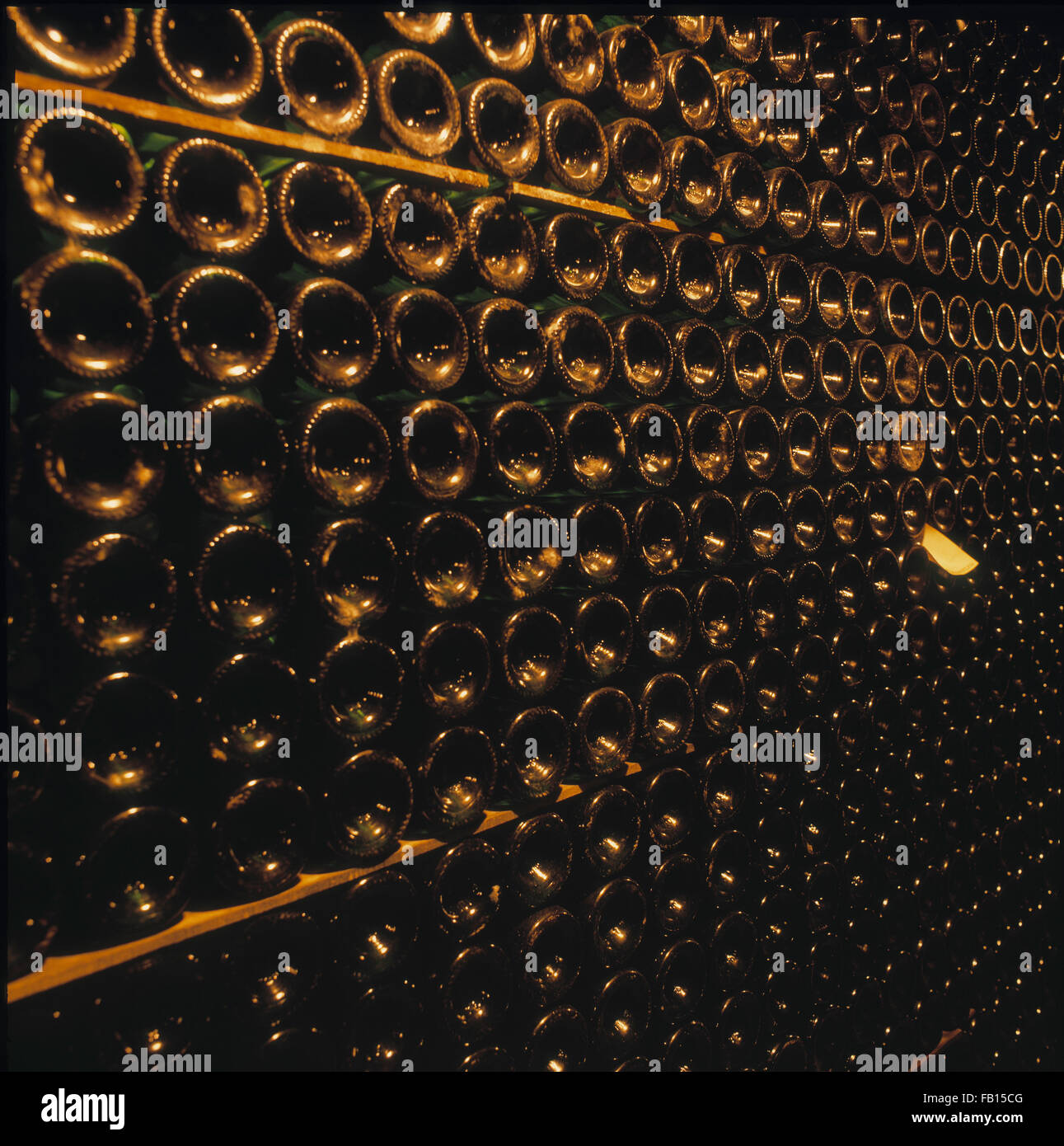 Loire wine cellar Stock Photo