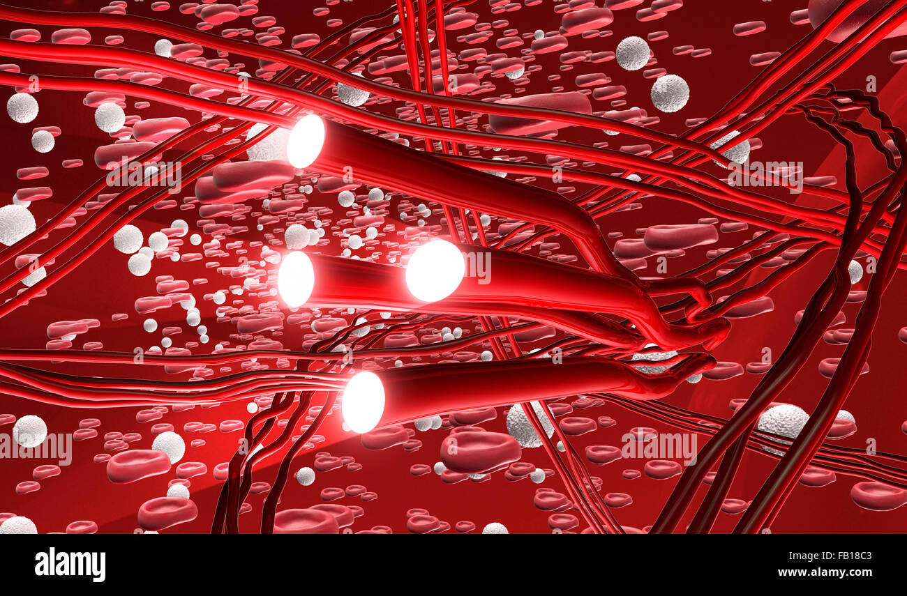 illustration of artery system with searchlight. Stock Photo