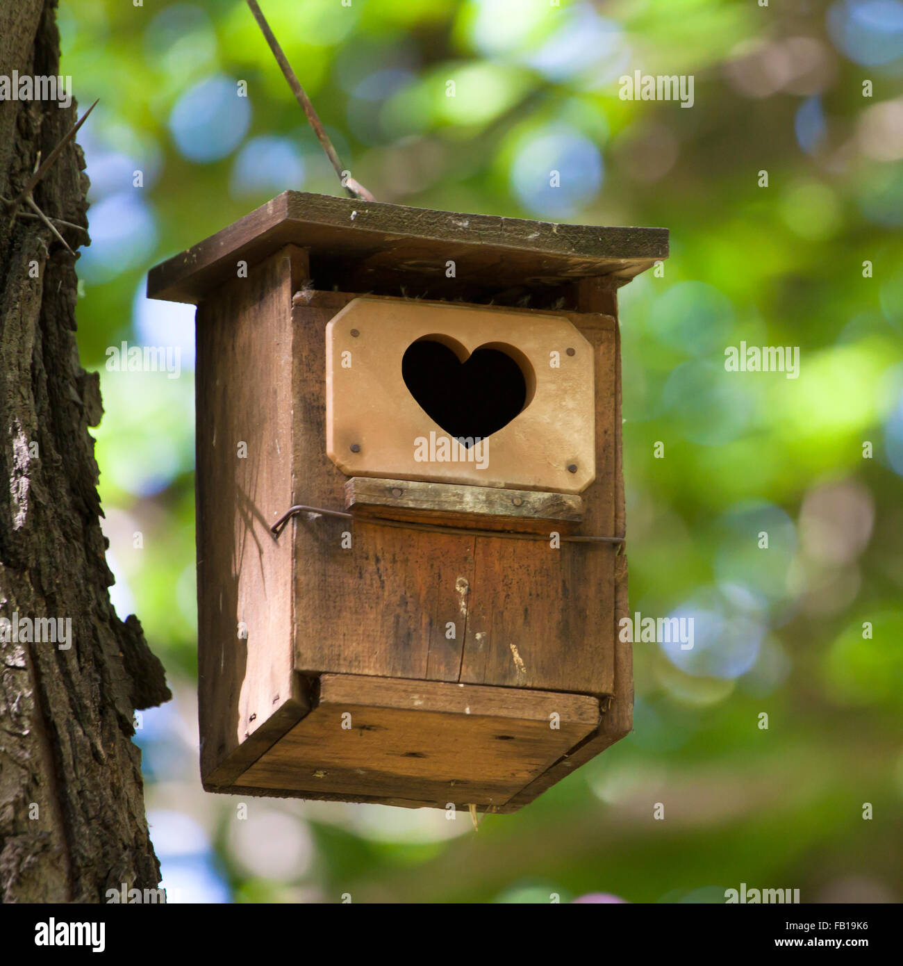 Bird house with the heart shapped entrance. Stock Photo