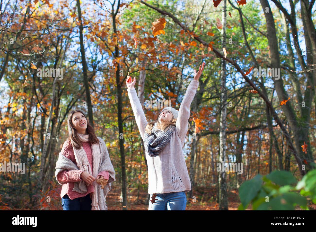 Girls in forest hi-res stock photography and images - Alamy