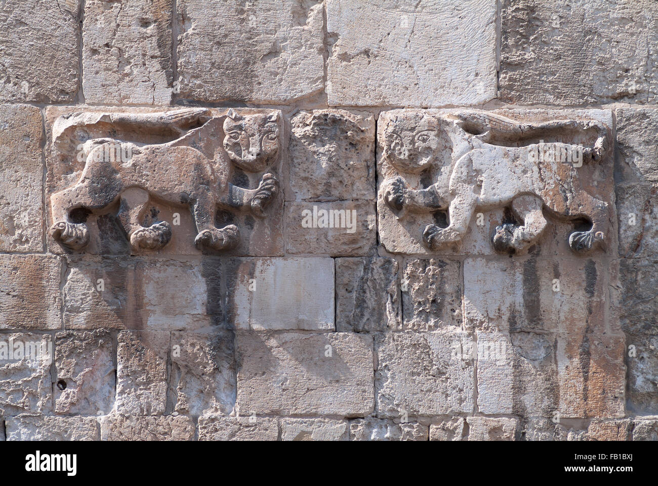 Relief on the Lions' Gate,Entrance to the Muslim quarter of the Old City, Jerusalem, Israel Stock Photo