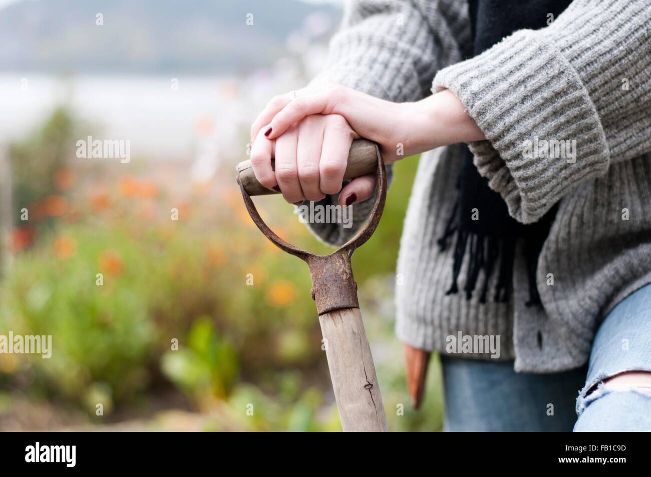 Cropped shot of womans hands digging organic garden with fork Stock Photo