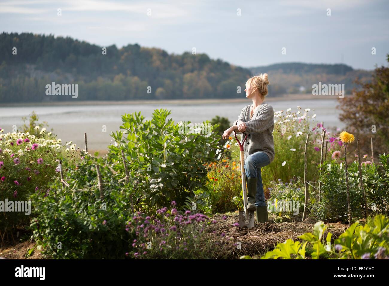 Woman looking out from organic garden, Orust, Sweden Stock Photo