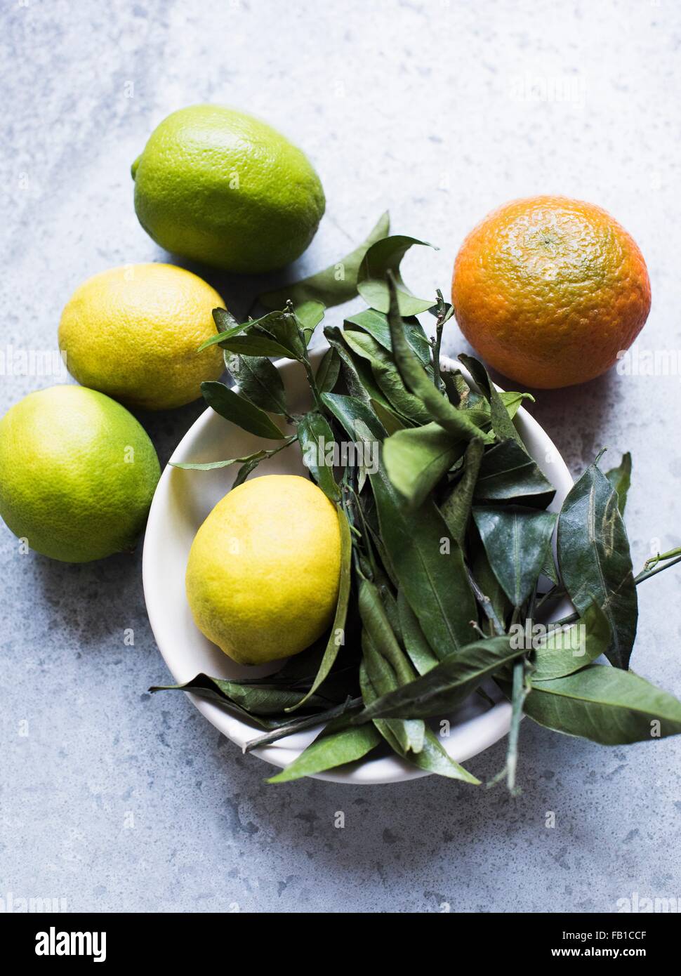 Citrus fruit hires stock photography and images Alamy