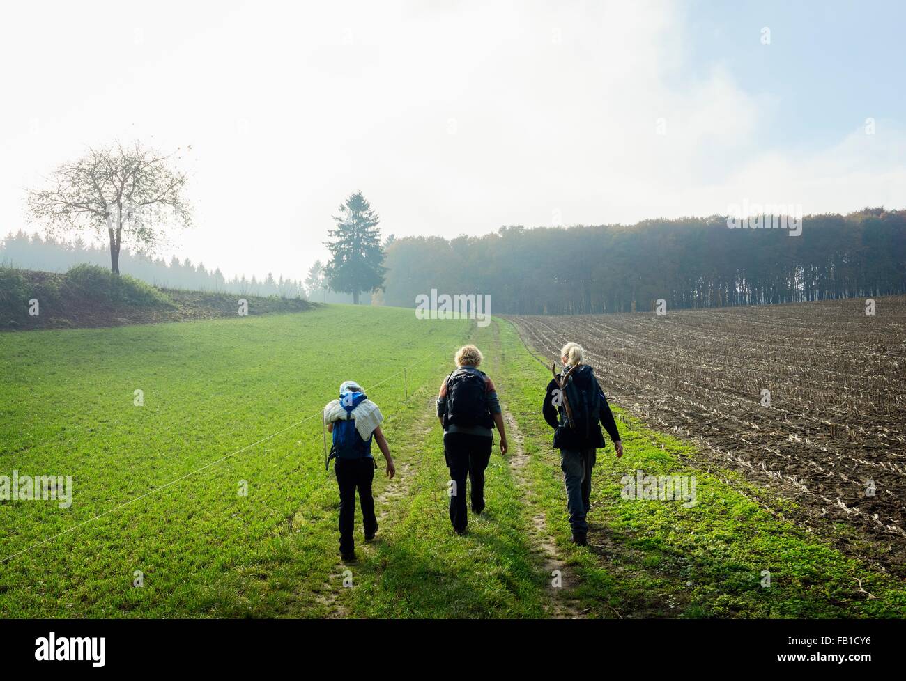 Rear view of mother and two children hiking along field path, Beaufort, Echternach, Luxembourg Stock Photo