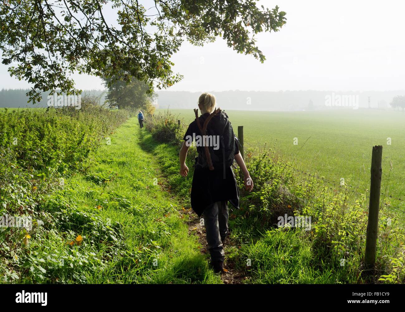 Rear view of teenage boy hiking along ancient roman path, Beaufort, Echternach, Luxembourg Stock Photo