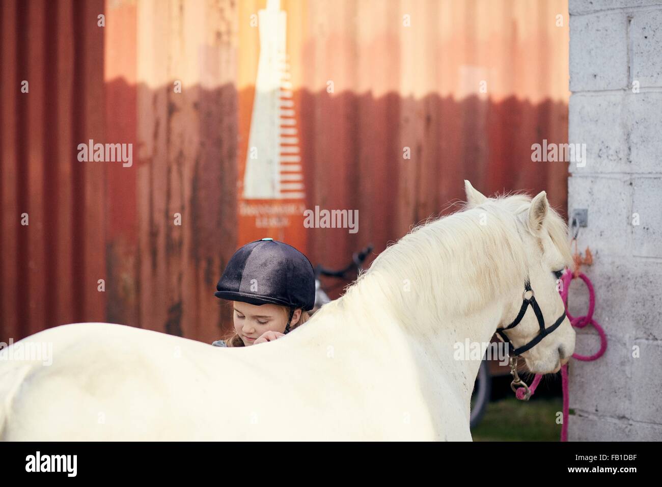 Girl grooming pony at stable Stock Photo