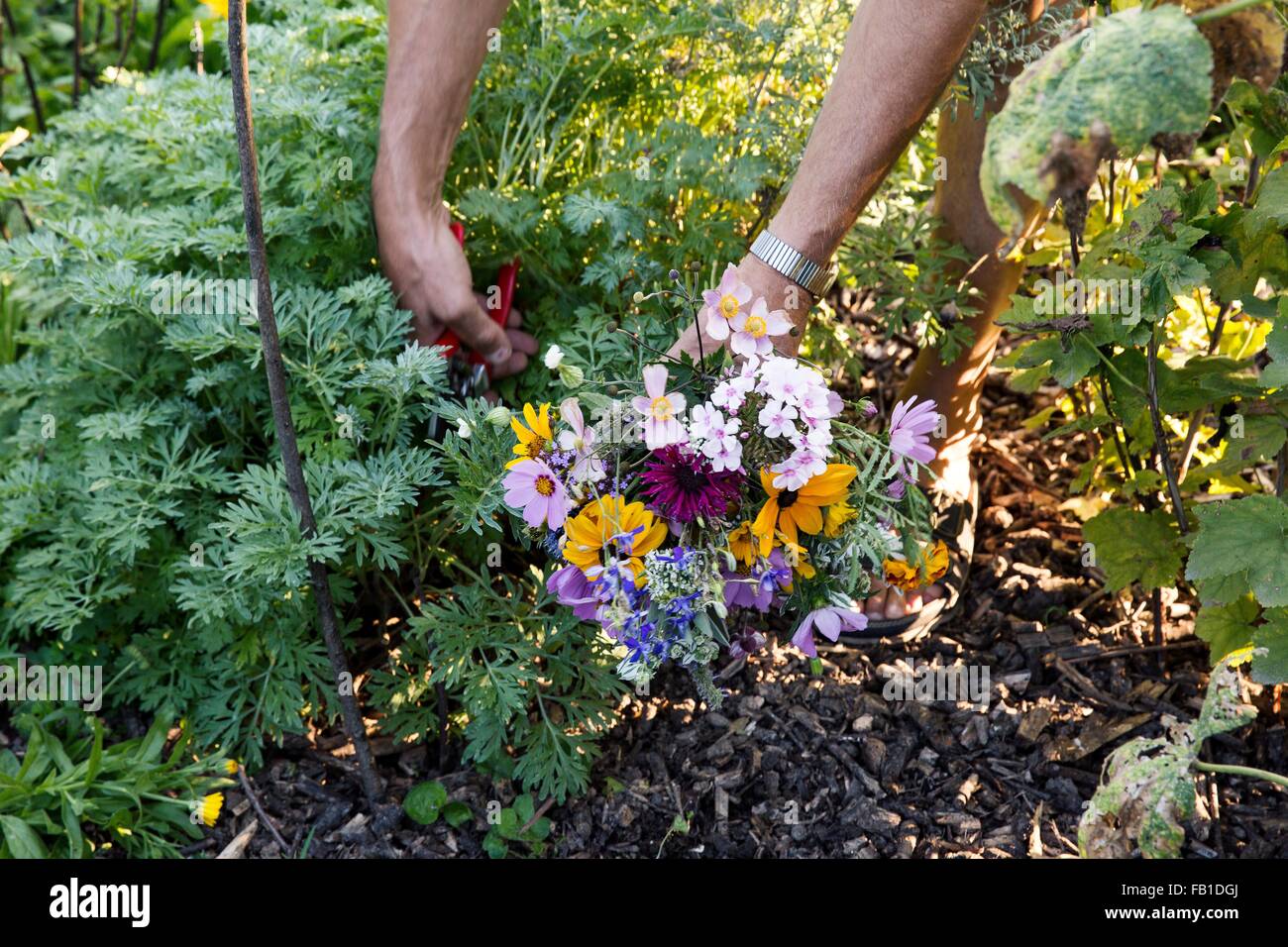 Mature woman gardening, low section Stock Photo