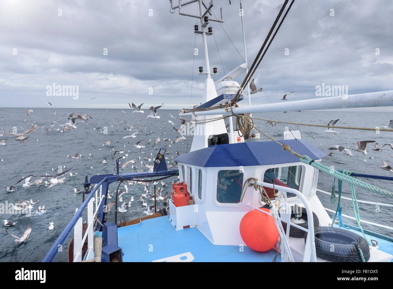 Deck view of fishing trawler with seagulls at sea Stock Photo