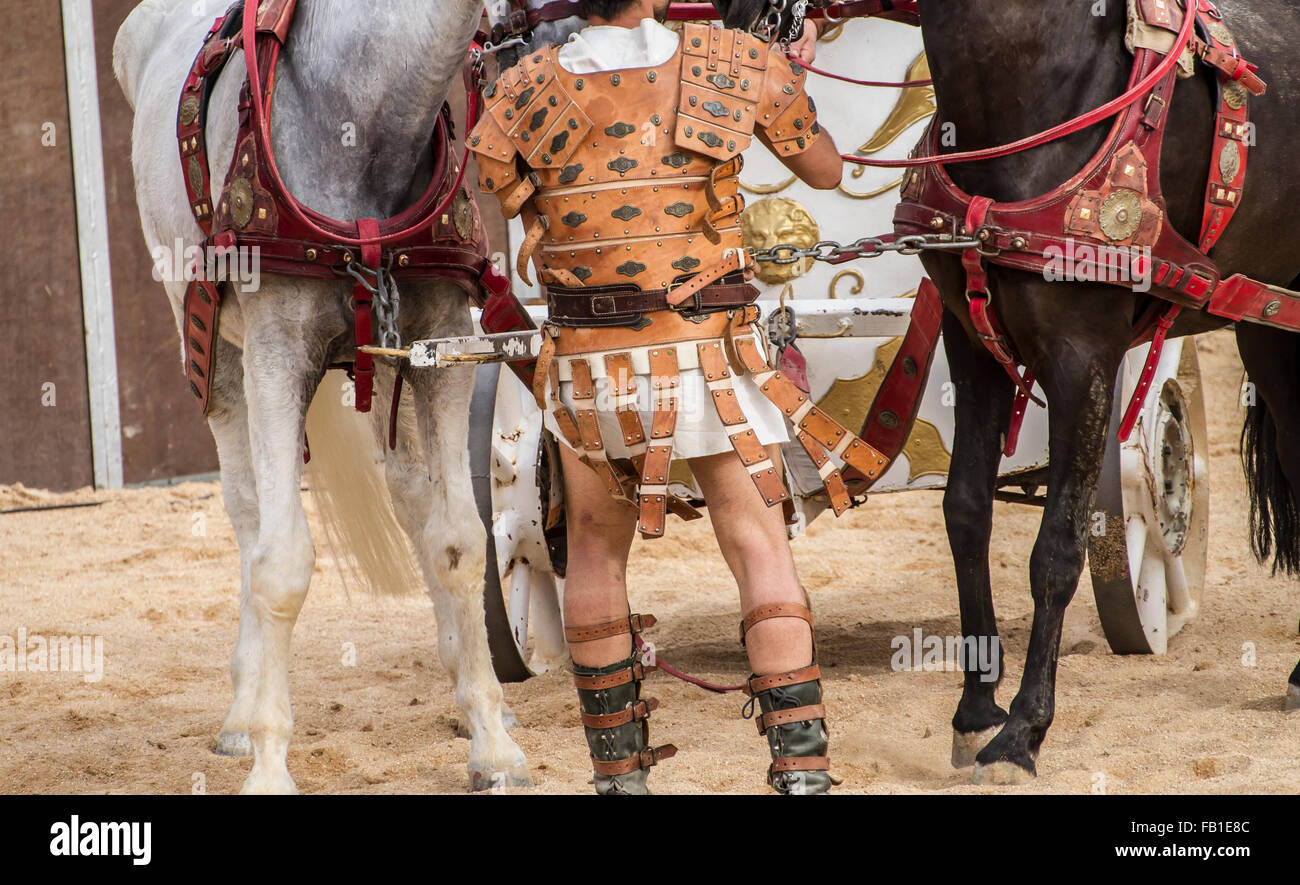 Gladiators fighting animals hi-res stock photography and images - Alamy Gladiators fighting animals hi-res stock photography and images - Alamy