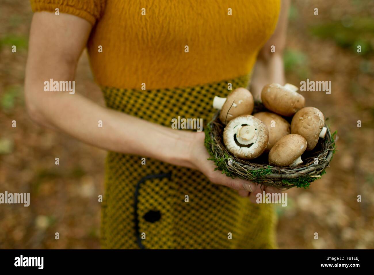 Cropped view of mature woman holding nest filled with mushrooms Stock Photo
