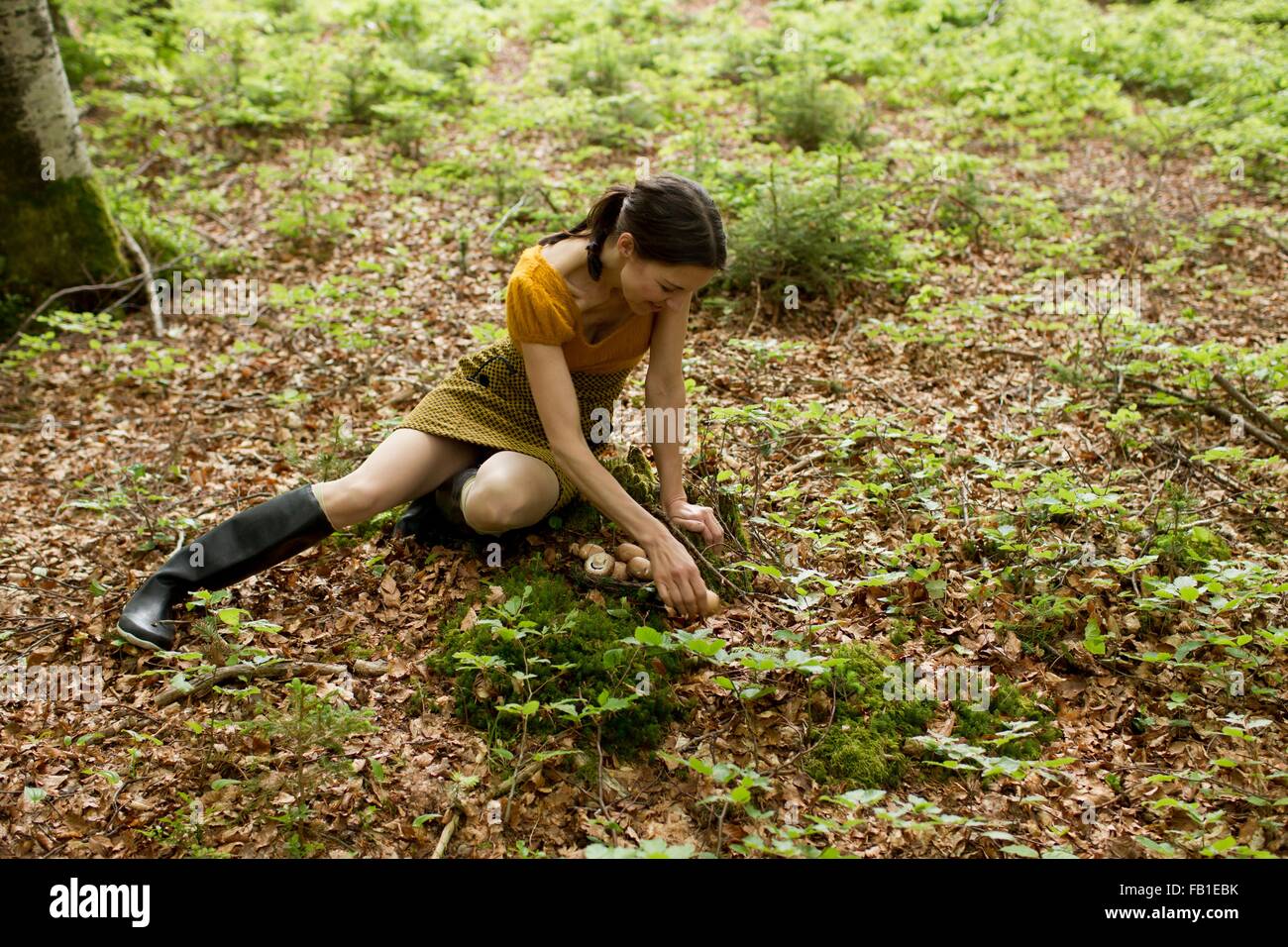 High angle view of mature woman wearing knee length boots sitting on autumn leaves foraging for mushrooms Stock Photo