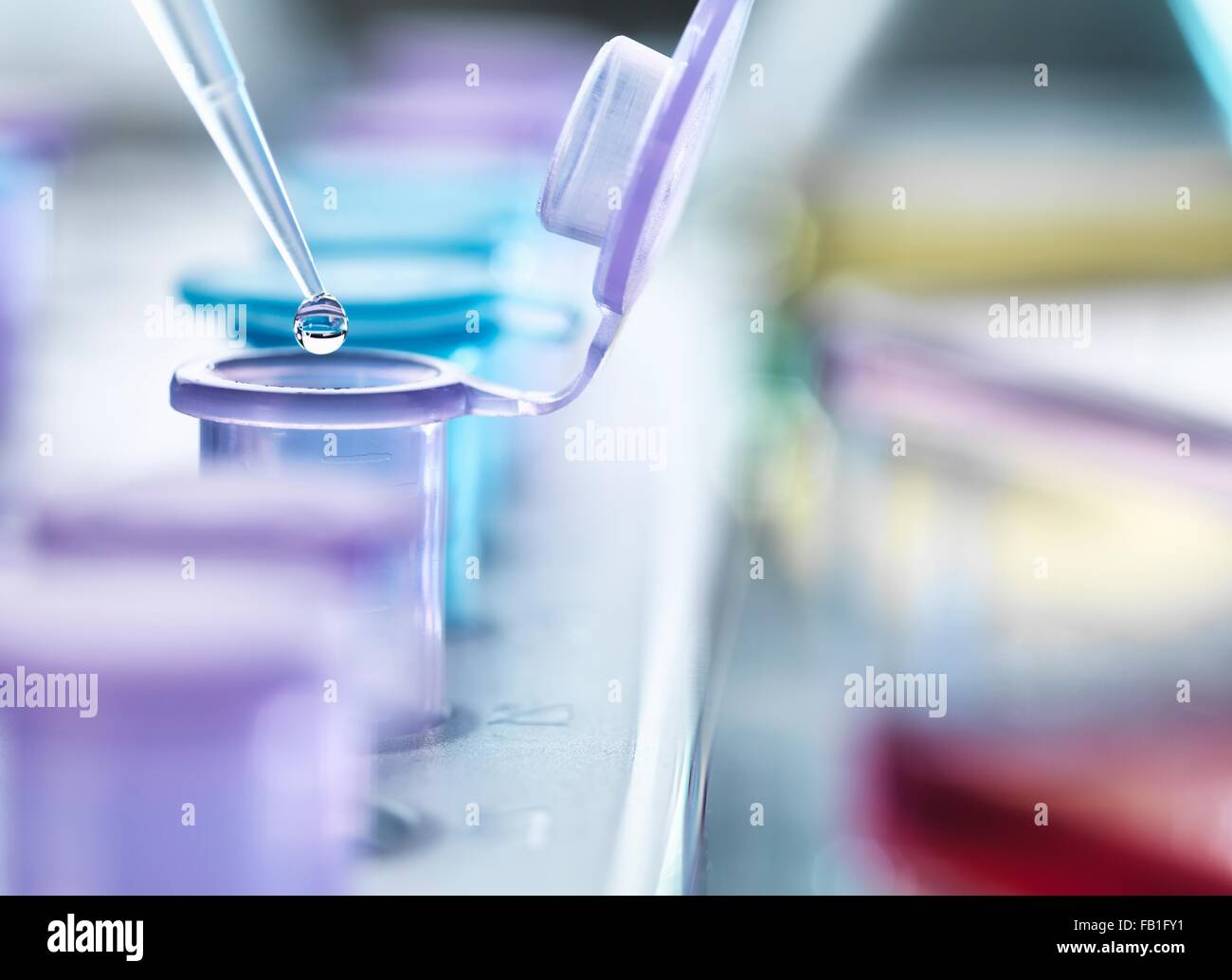 Pipetting droplets of liquid into eppendorf tubes, side view Stock Photo