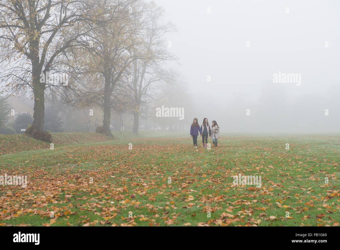 Three young girls walking through field in autumn Stock Photo