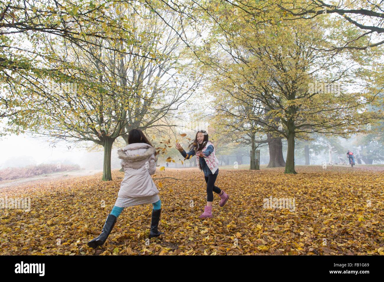 Two young girls playing, throwing leaves, in forest, autumn Stock Photo