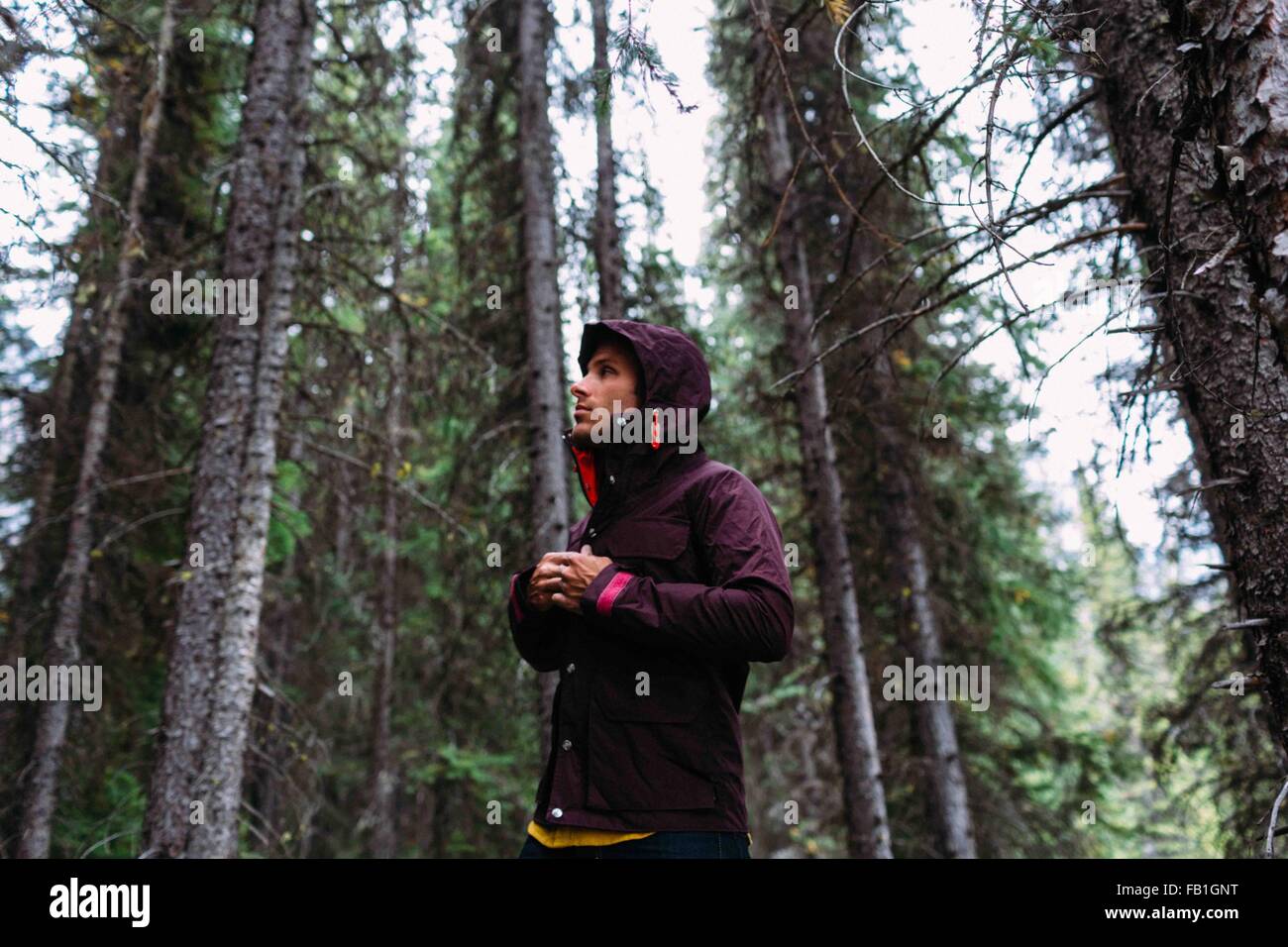 Low angle view mid adult man forest fastening waterproof coat away Moraine lake Banff National Park Alberta Canada Stock Photo