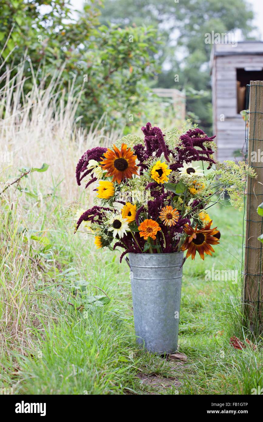 Flower bouquet in bucket at garden allotment Stock Photo Alamy
