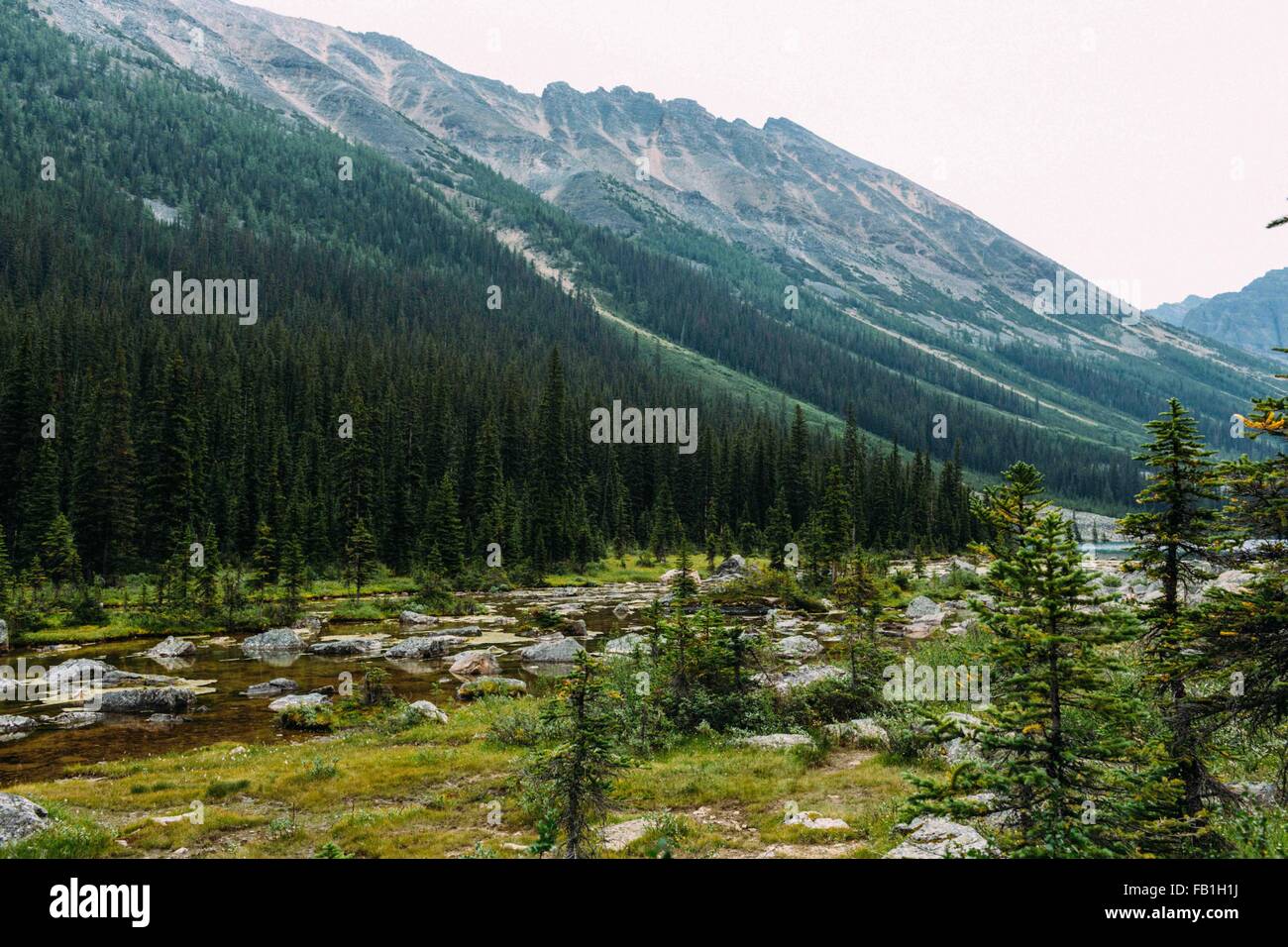 Rocky landscape and forest beneath mountain range, Moraine Lake, Banff National Park, Alberta Canada Stock Photo