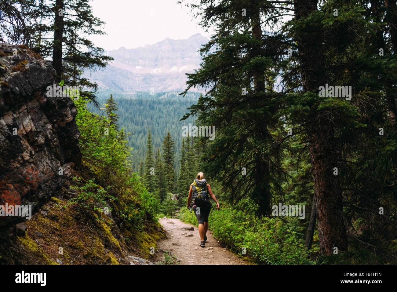 Mature woman hiking on trail hi-res stock photography and images - Alamy