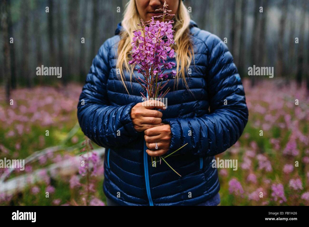 Cropped view of mid adult woman wearing padded coat holding wildflowers, Moraine lake, Banff National Park, Alberta Canada Stock Photo