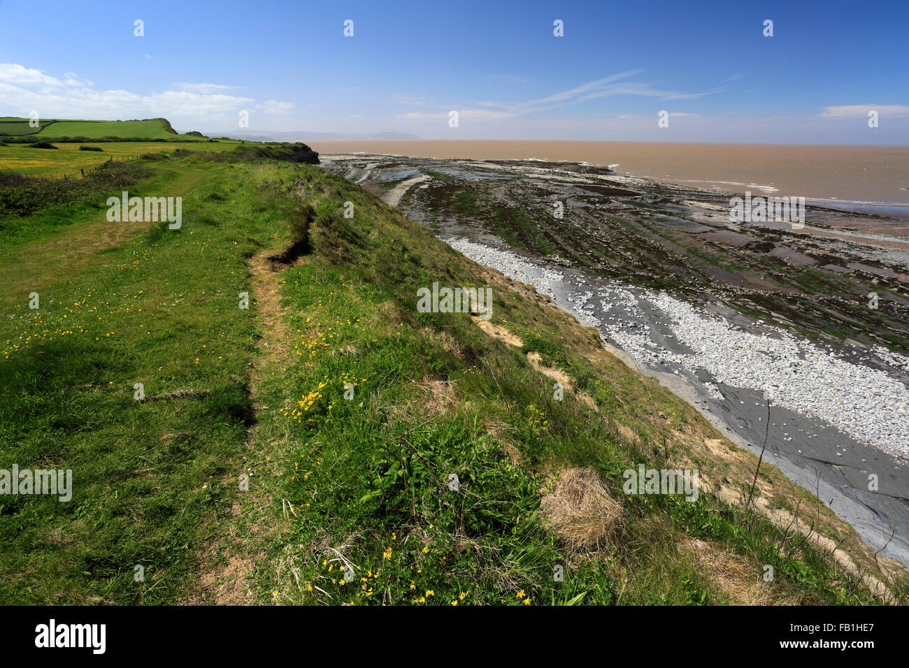 Summer, coastal path and rugged shoreline at Bridgwater bay, Somerset, England. Stock Photo