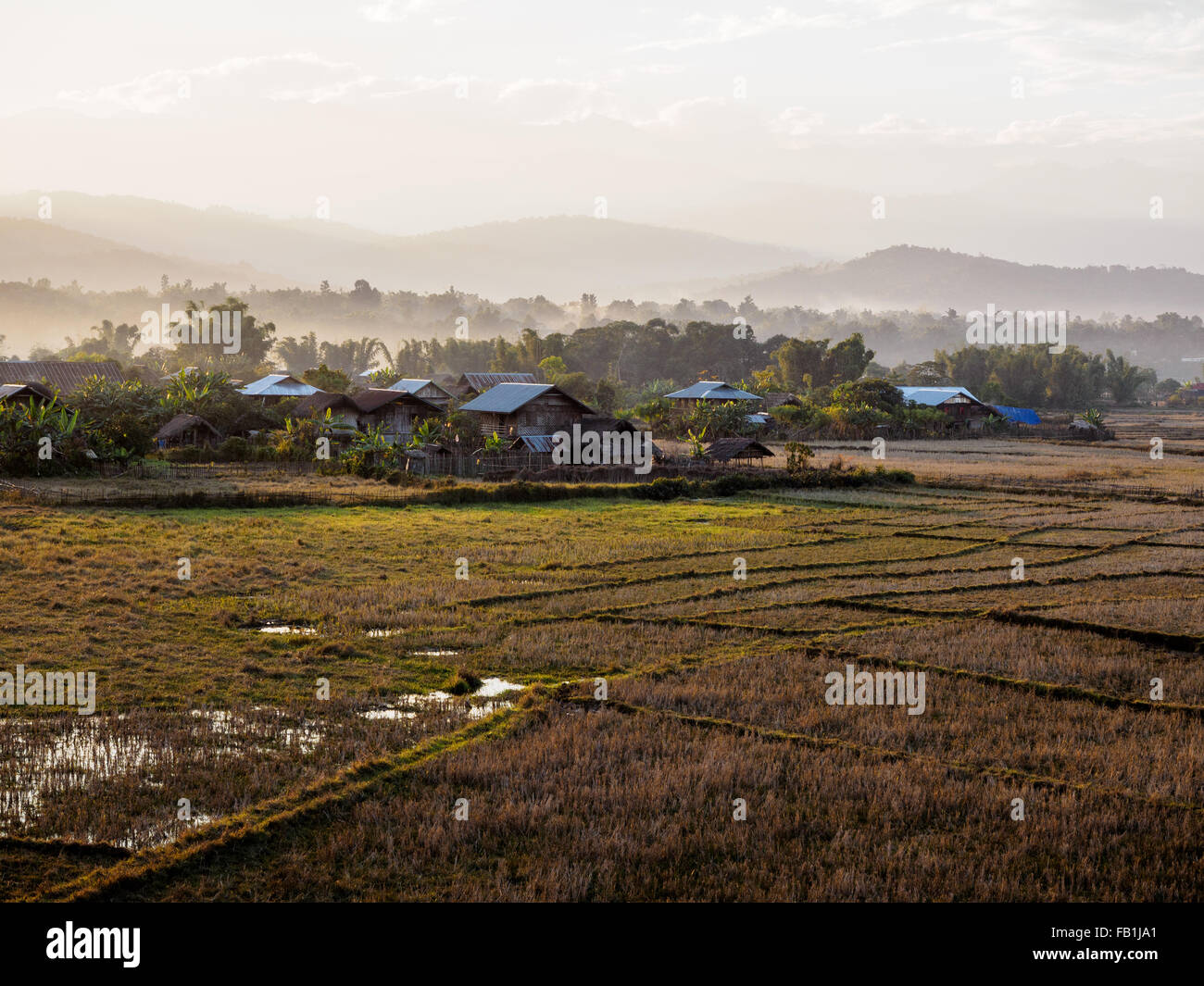 Houses in a village of Putao town and the paddy field. Stock Photo