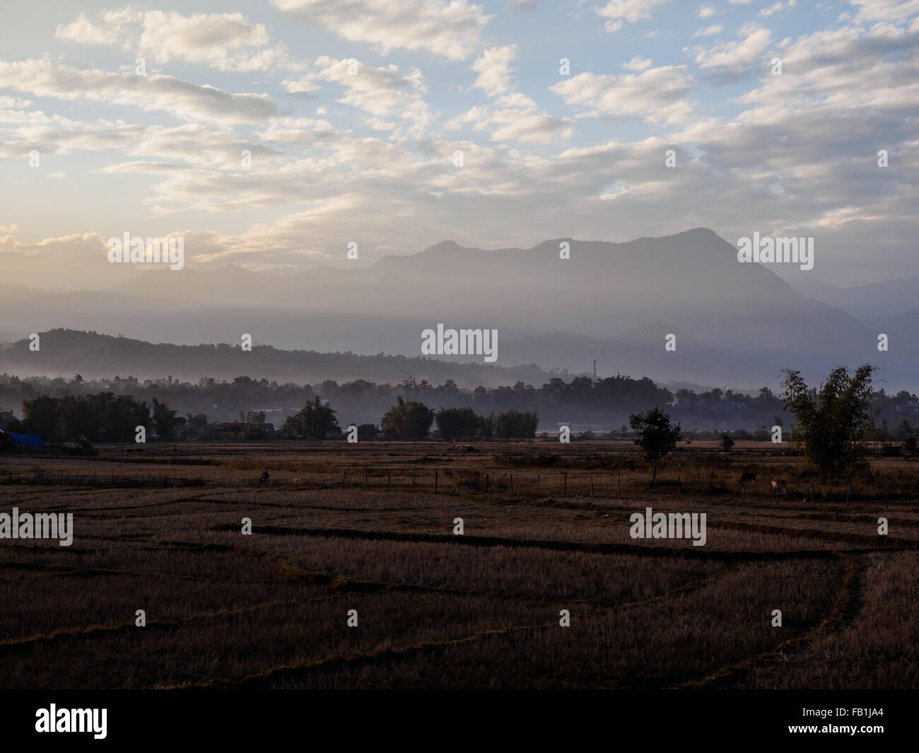 Sunset over the paddy field in Putao town, northern Myanmar. Stock Photo