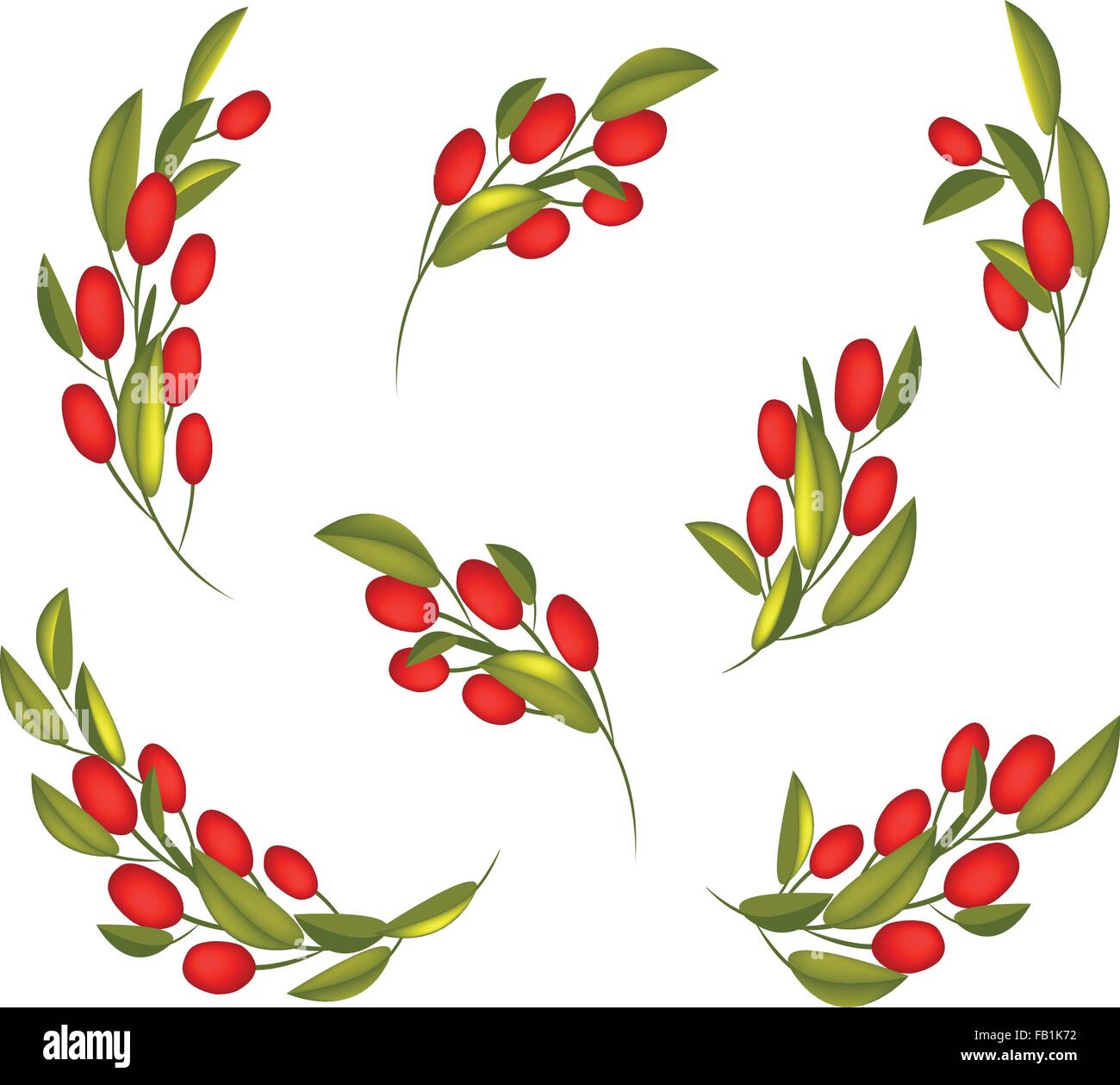 Illustration Collection of Fresh Red Ripe Olives and Green Leaves ...