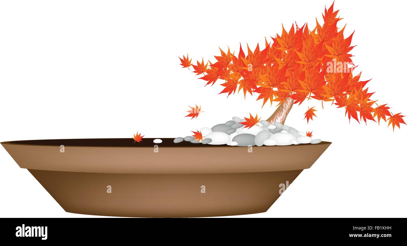 Houseplant, Illustration of Exotic Maple Bonsai or Acer Bonsai Tree in A Flowerpot for Garden Decoration. Stock Vector
