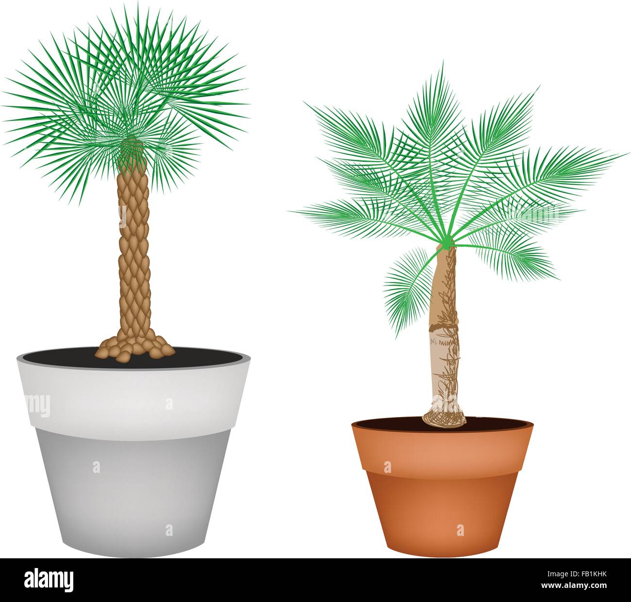 Houseplant, Illustration of Landscaping Tree Symbols of Two Isometric