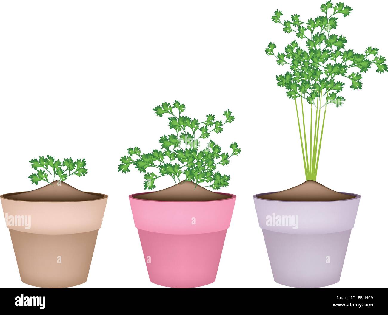 Chinese clay pots Stock Vector Images - Alamy