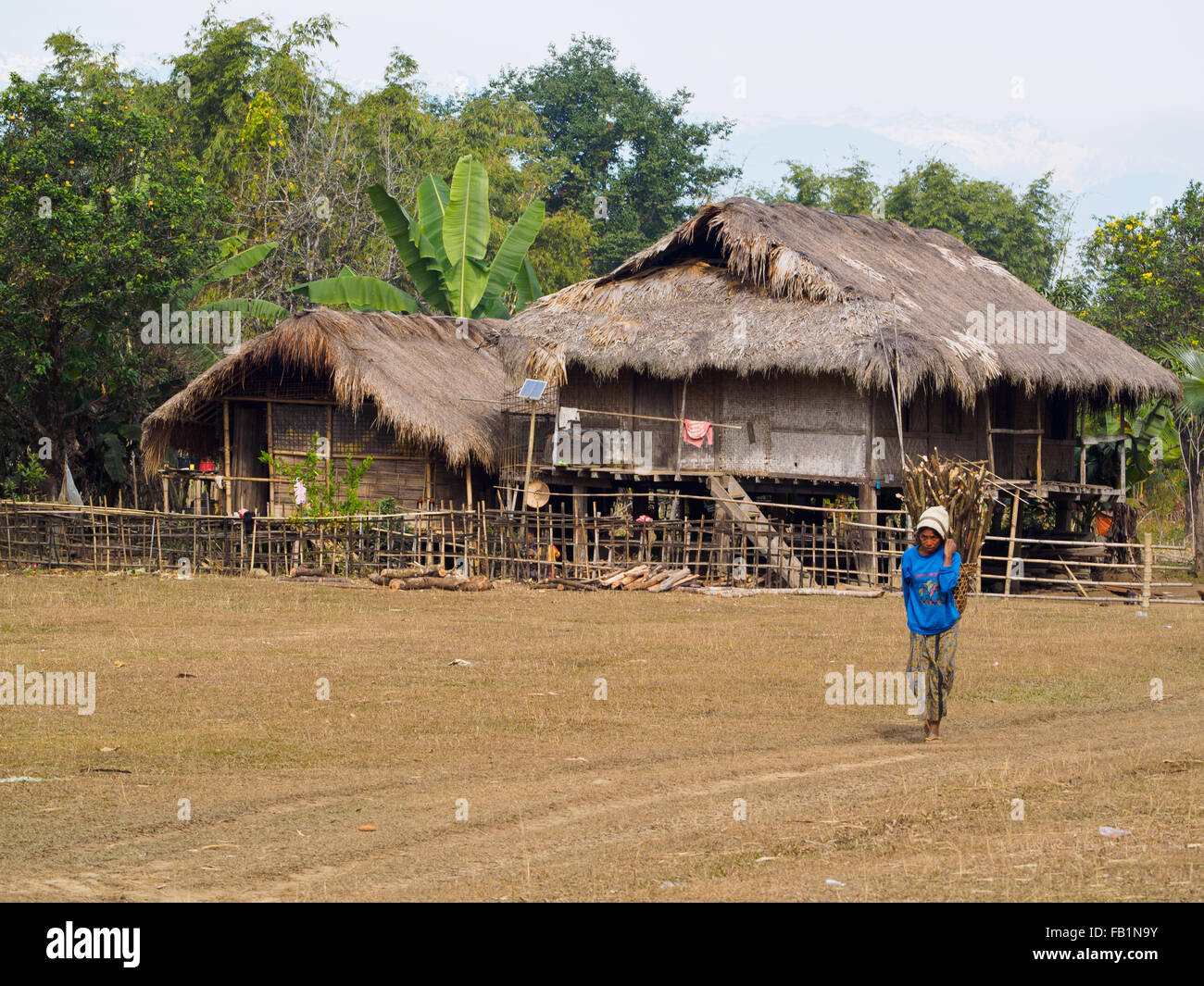 A villager carries firewood from the forest in Northern Myanmar Stock Photo