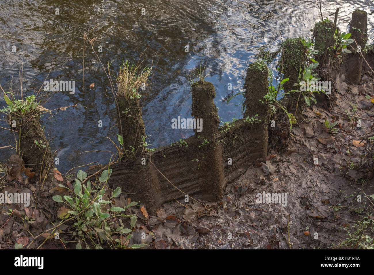 Wooden flood defence / erosion prevention barrier holding back river