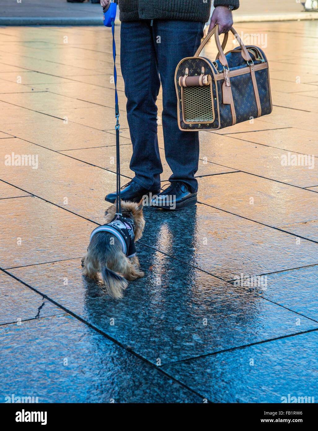 Man with a Louis Vuitton dog bag and small Yorkshire terrier, Stock Photo