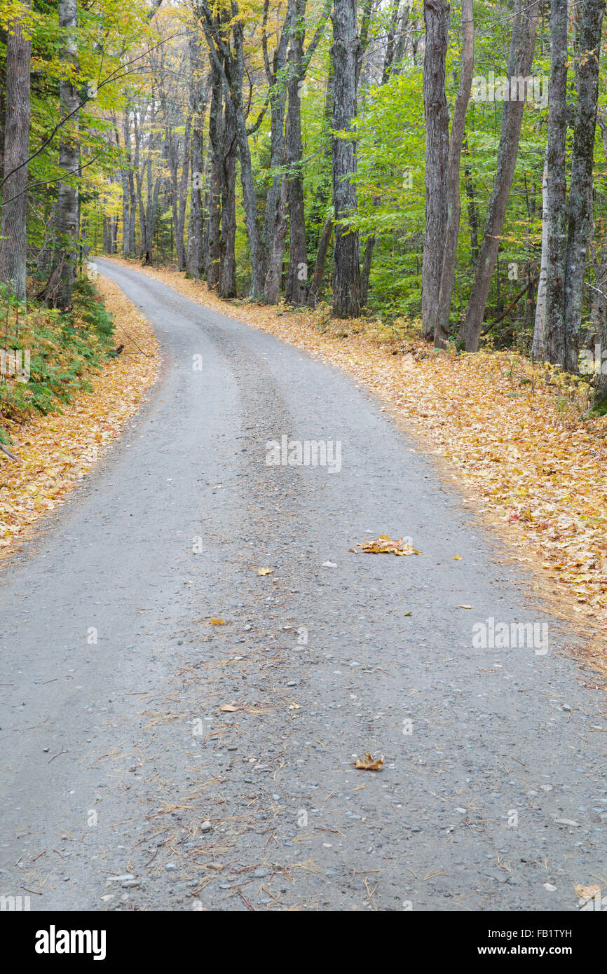 Leaf drop along Long Pond Road (old North and South Road) in Benton
