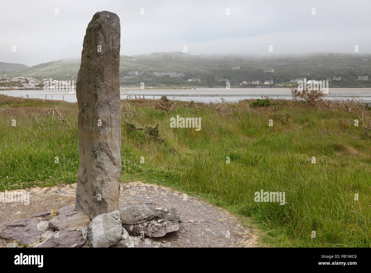 Ogham Stone near Ballycrovane, Beara peninsula, County Cork, Munster
