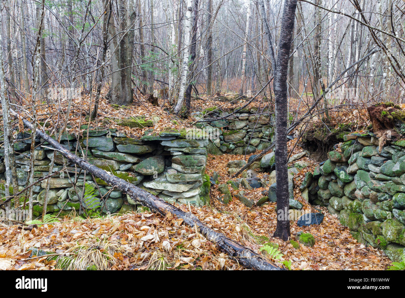 A cellar hole from the 1800’’s along the old North and South Road (now