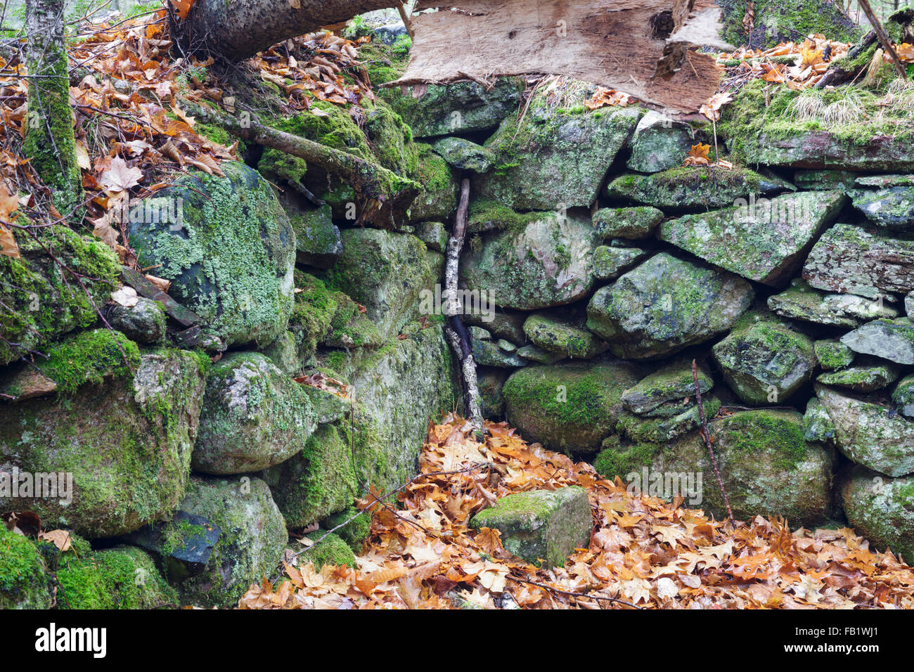 The stone work of an abandoned cellar hole along the old North and