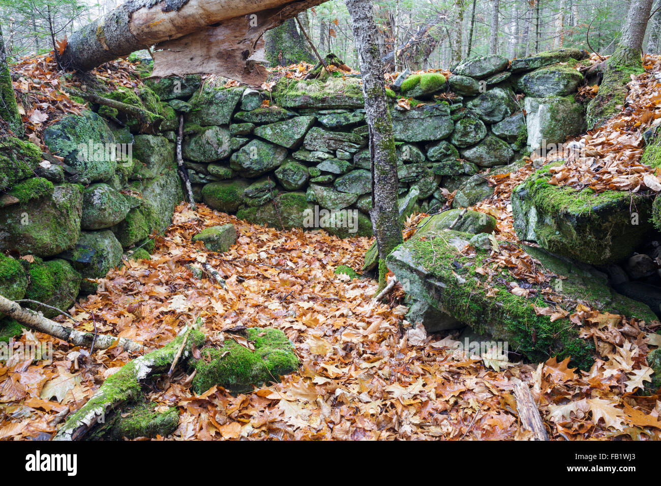 The stone work of an abandoned cellar hole along the old North and ...