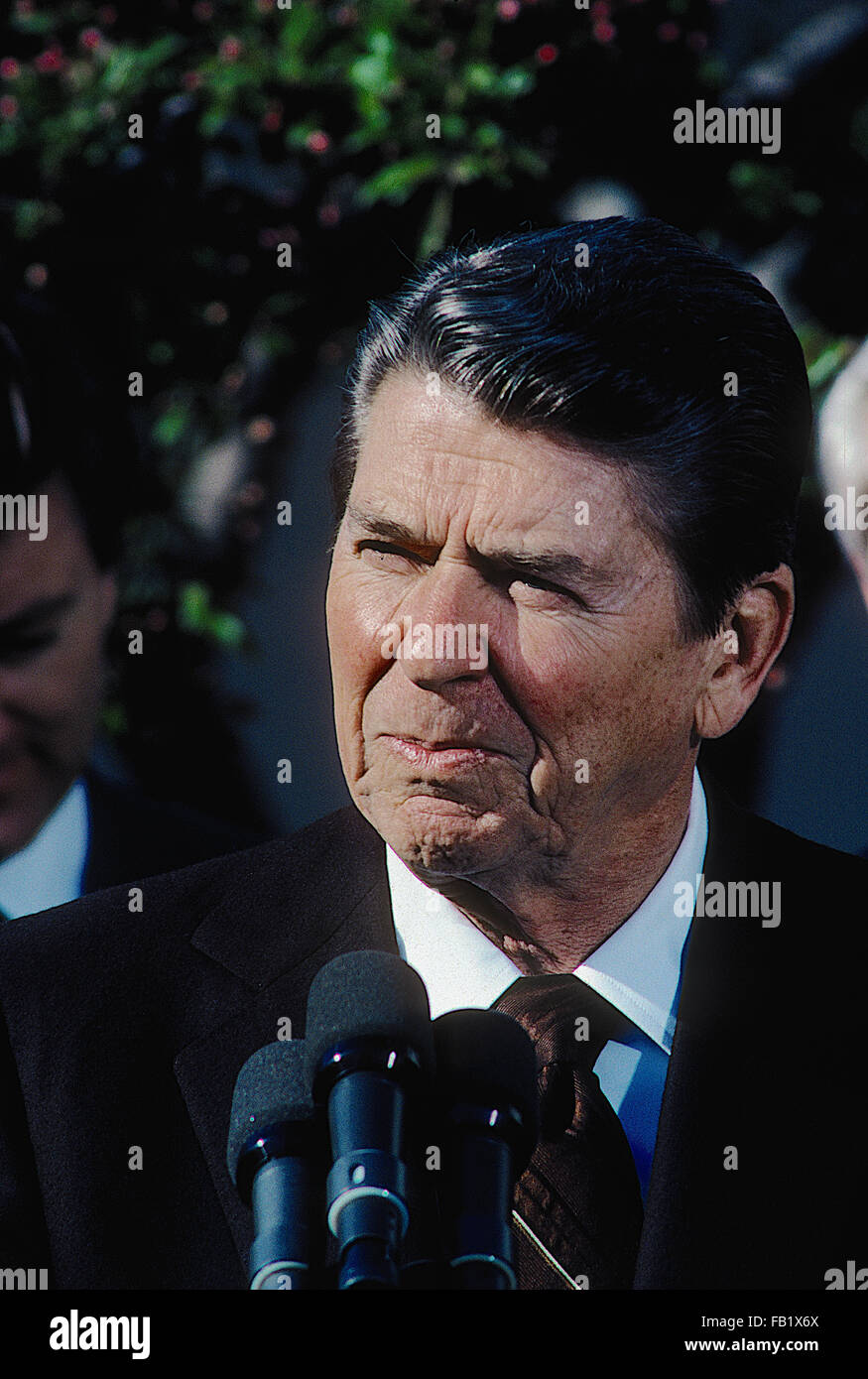 Washington, DC. USA, April, 1984 President Ronald Reagan in the rose