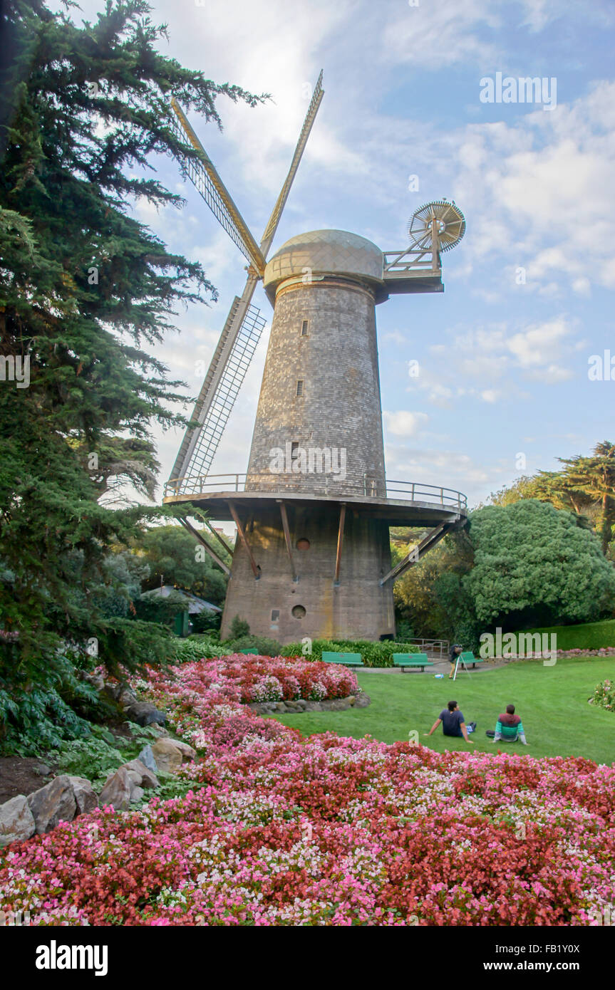 Queen Wilhelmina Tulip Garden In San Francisco Stock Photo Alamy Queen Wilhelmina Tulip Garden In San Francisco Stock Photo Alamy