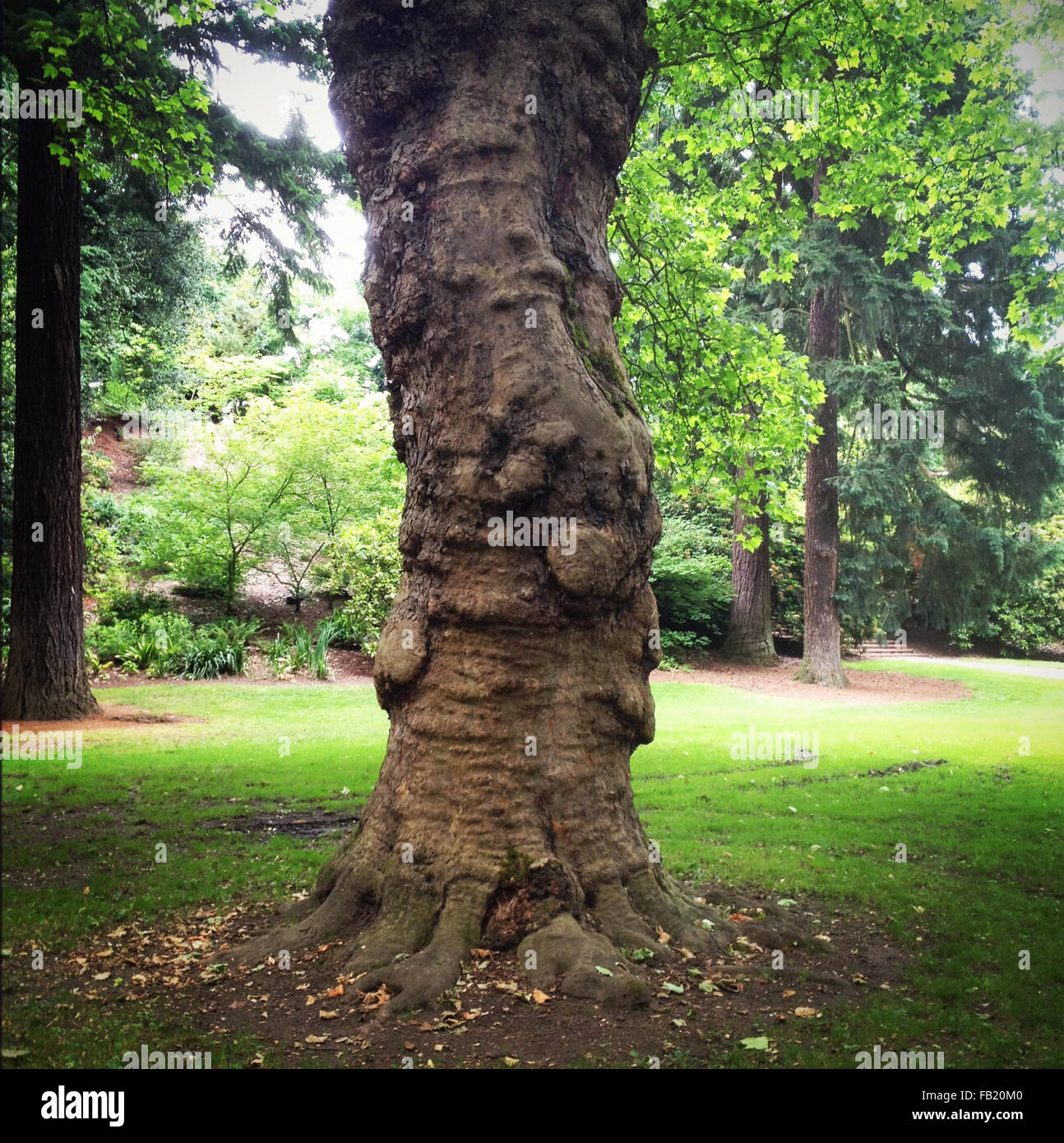 My Image 32