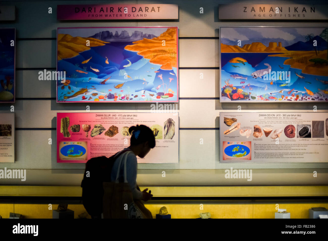 A visitor is silhouetted against large educational posters that are illuminated at Museum Geologi (Geology Museum) in Bandung, West Java, Indonesia. Stock Photo